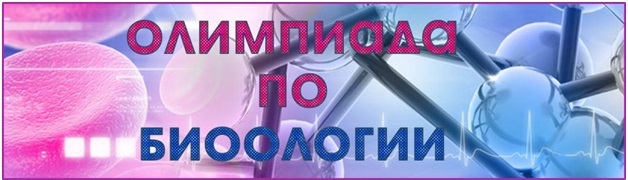 Безымянный