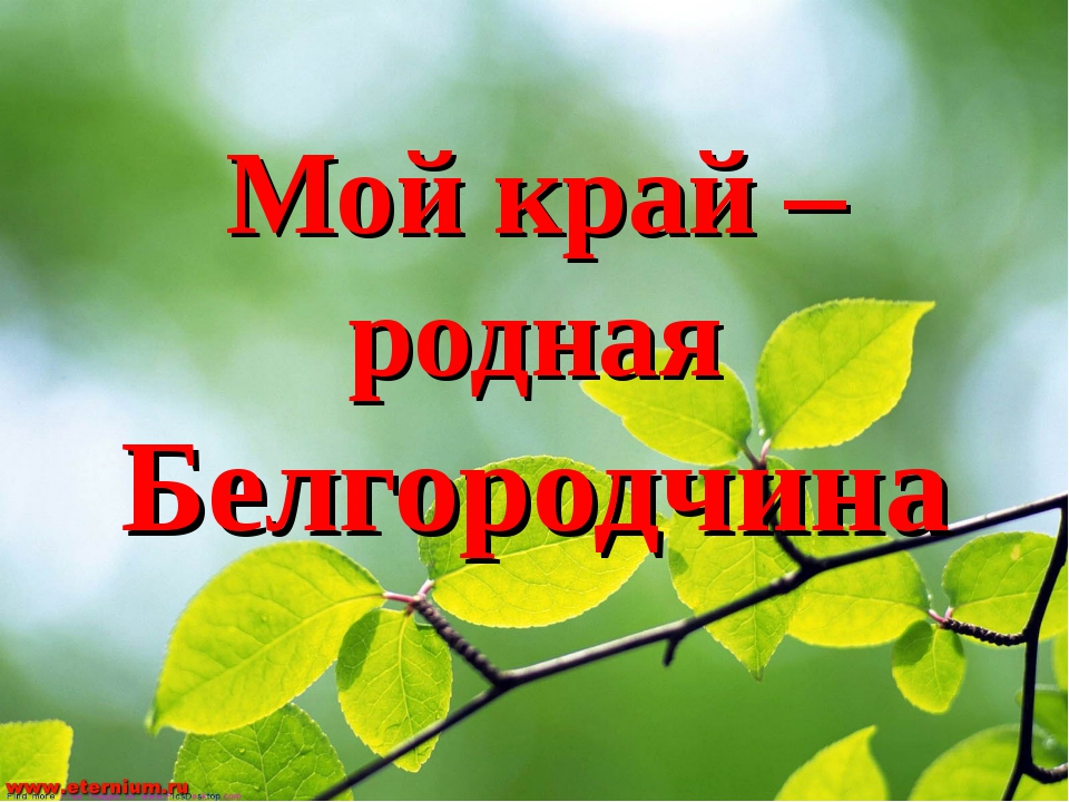 Экономика белгородской области проект 3 класс окружающий мир